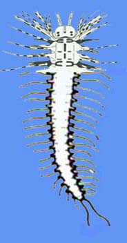 Pic from original description